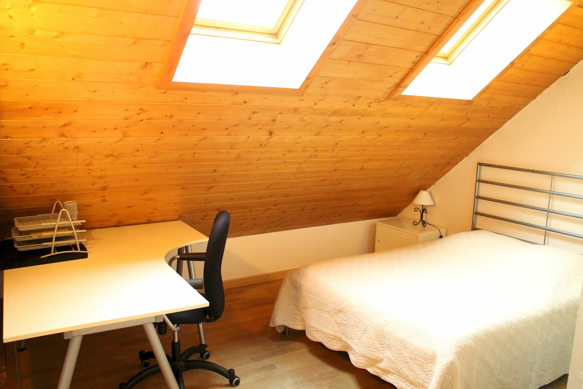 Les Z'Hirondelles Hotel Annecy Bagian luar foto